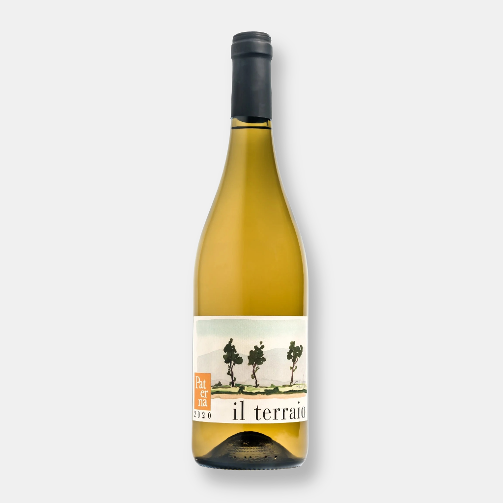 Paterna Il Terraio Bianco
